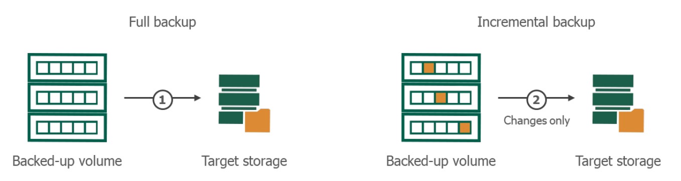 How to Choose the Type and Method of Backup